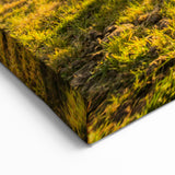 Iceland Landscape Art - Icelandic Horses at Sunset Canvas Print