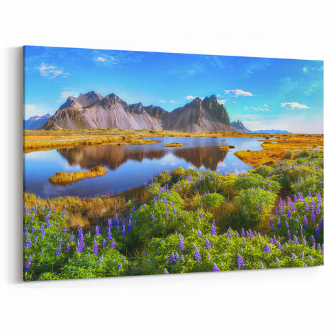 Iceland Scenery Art - Vestrahorn Mountains and Lupine Flowers Canvas Print