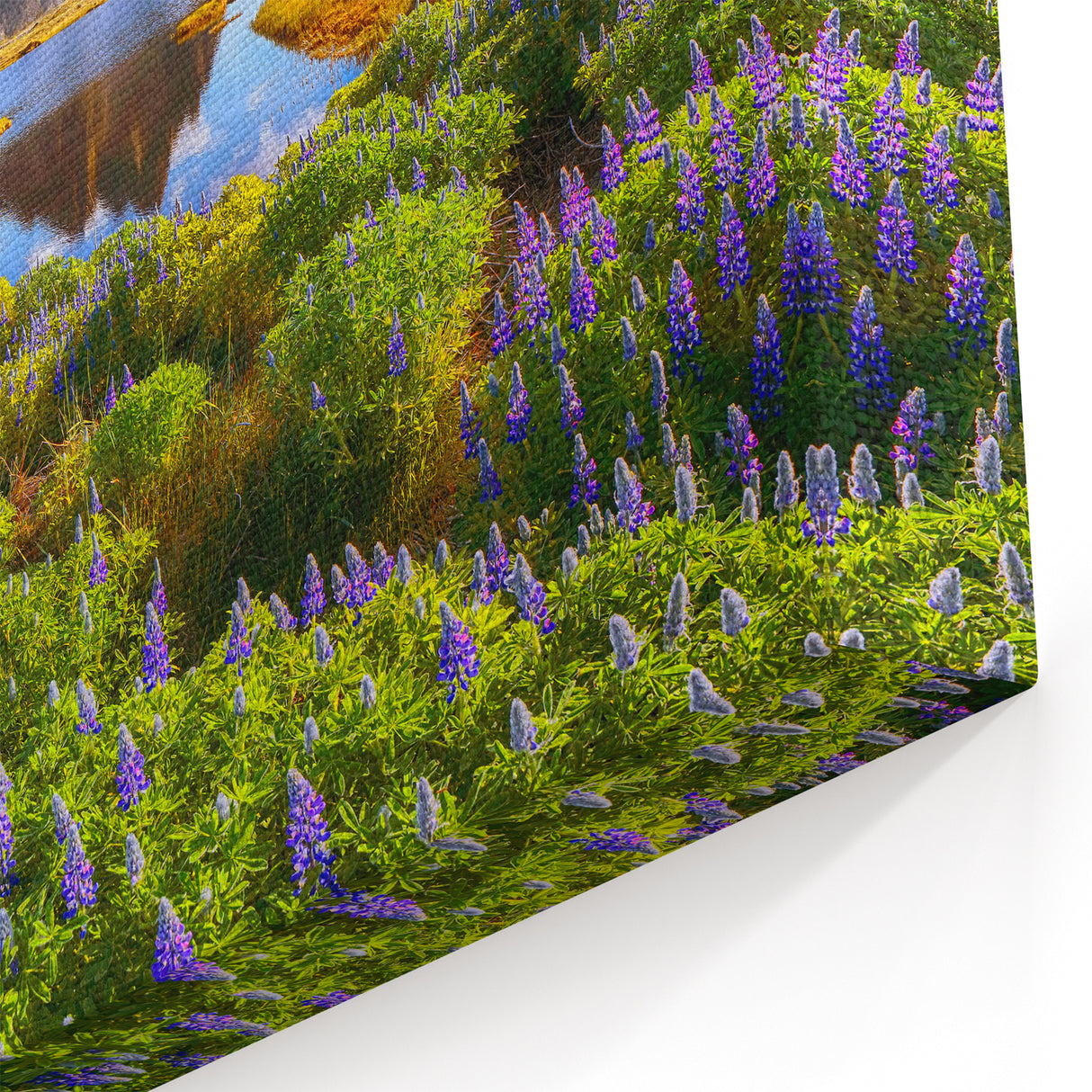 Iceland Scenery Art - Vestrahorn Mountains and Lupine Flowers Canvas Print