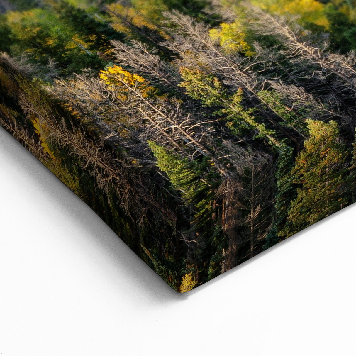 Rocky Mountains Wall Art - Colorado Nature Scene with Autumn Colors