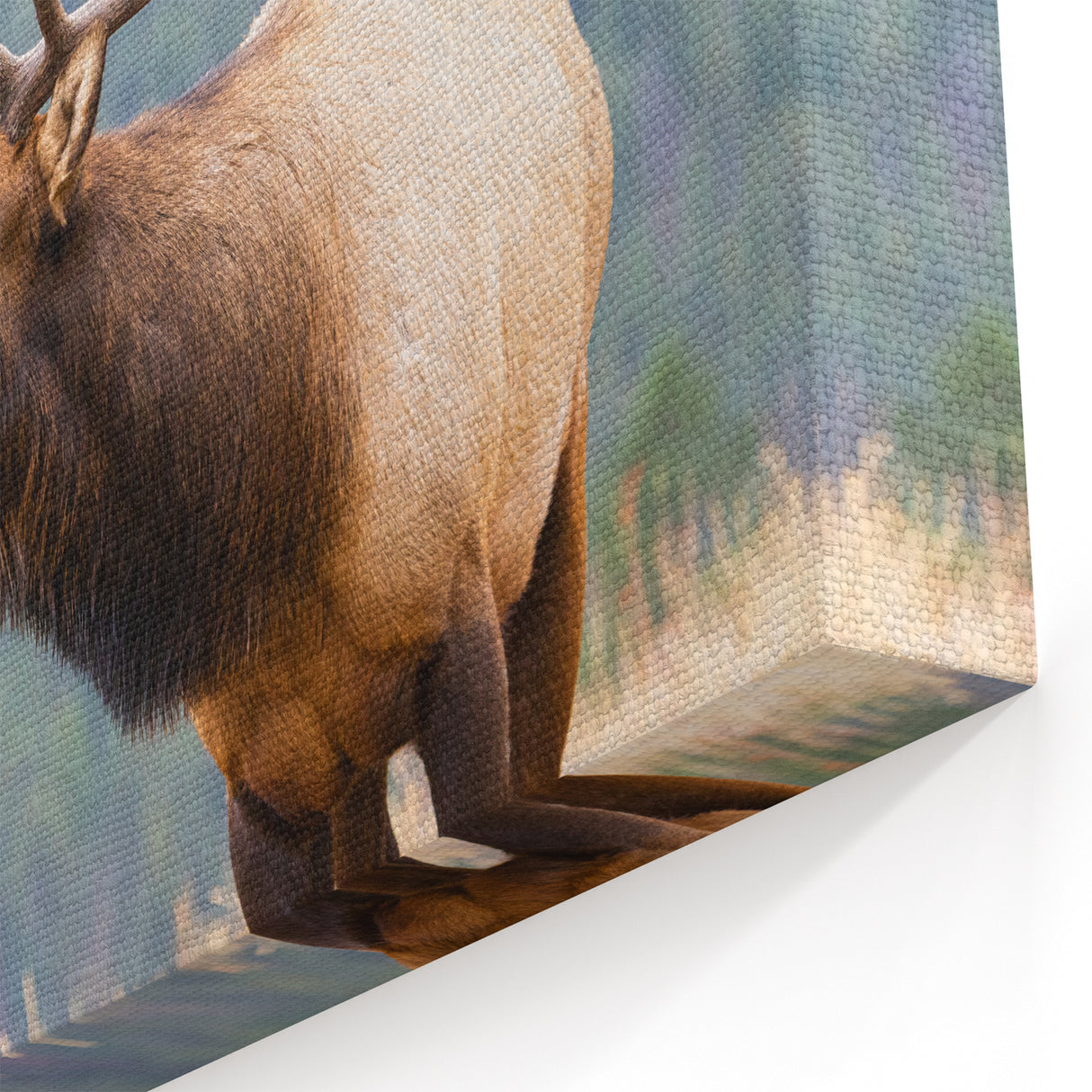 Rocky Mountains Wall Art - Majestic Elk in Colorado Nature Photography