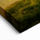 Telluride Landscape Canvas - Colorado Mountain and Meadow Photography Print