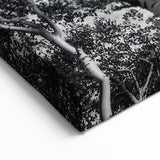 Telluride Aspen Trees Photography - Black and White Nature Wall Art Print