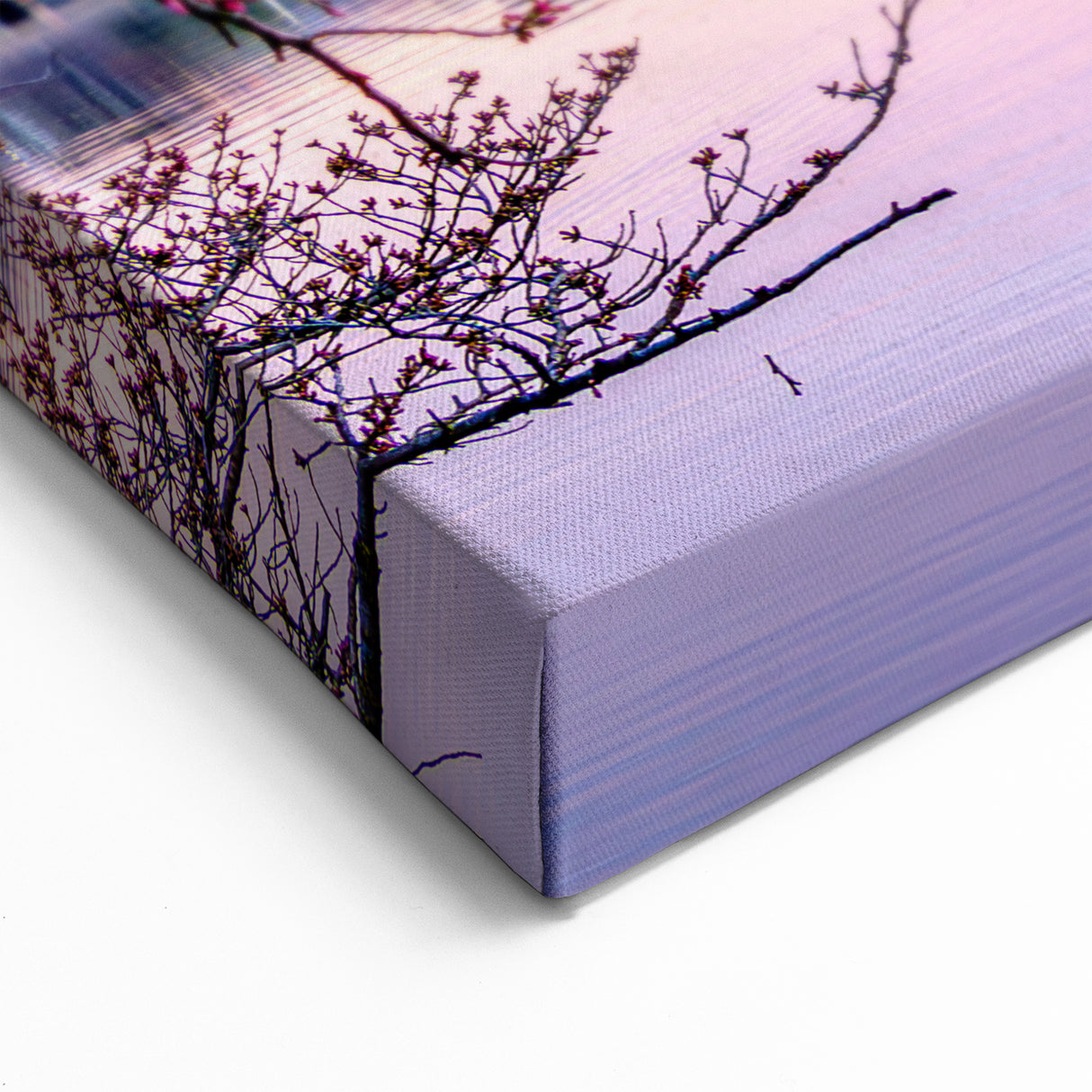 Washington Monument Wall Art - Cherry Blossom Sunrise Canvas and Print