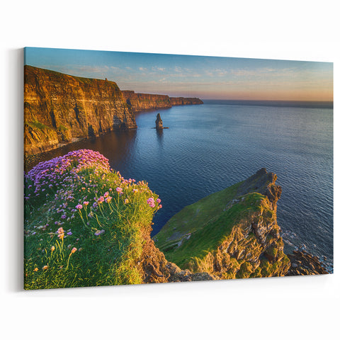 Scenic Ireland Prints - Cliffs of Moher at Sunset with Wildflowers