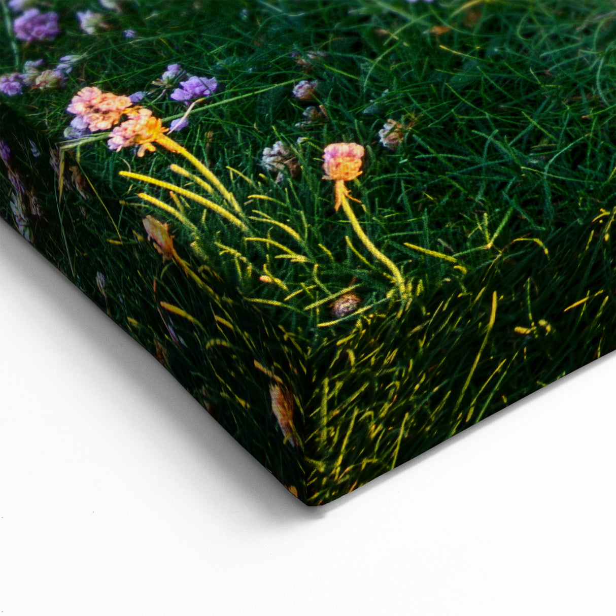 Scenic Ireland Prints - Cliffs of Moher at Sunset with Wildflowers