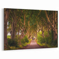 Irish Landscape Art - Enchanted Tree Tunnel on Forest Road