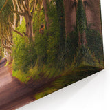Irish Landscape Art - Enchanted Tree Tunnel on Forest Road