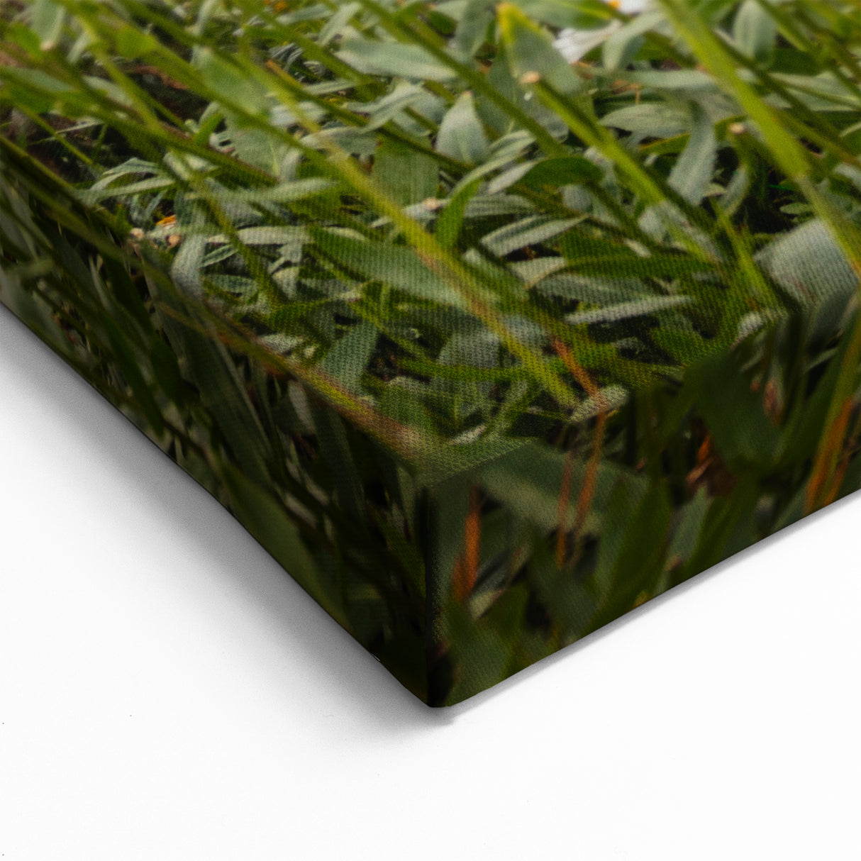 Beautiful Ireland Posters - Traditional Irish Cottage and Garden Art