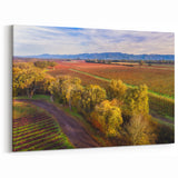 Sonoma Vineyard Landscape Painting - California Wine Country Wall Art