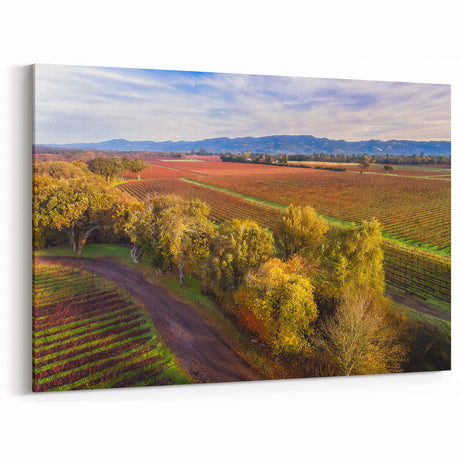 Sonoma Vineyard Landscape Painting - California Wine Country Wall Art