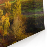 Sonoma Vineyard Landscape Painting - California Wine Country Wall Art