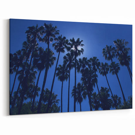 Beverly Hills Palm Trees Silhouette - Blue Sky California Wall Art