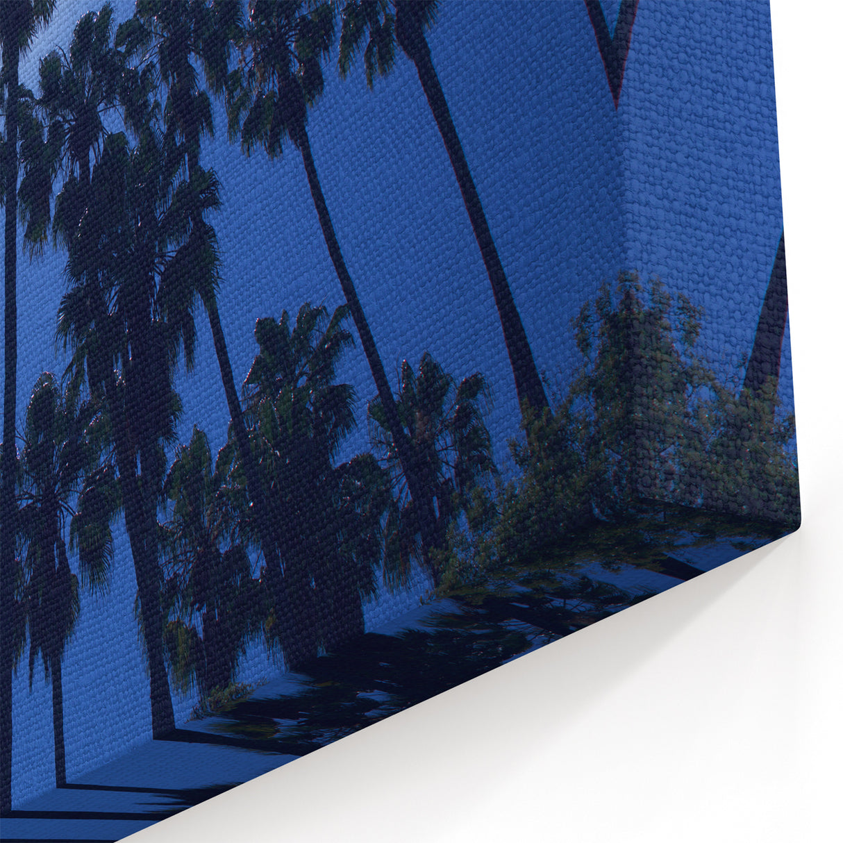 Beverly Hills Palm Trees Silhouette - Blue Sky California Wall Art