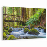 Olympic National Park Framed Art-Forest Stream and Wooden Bridge