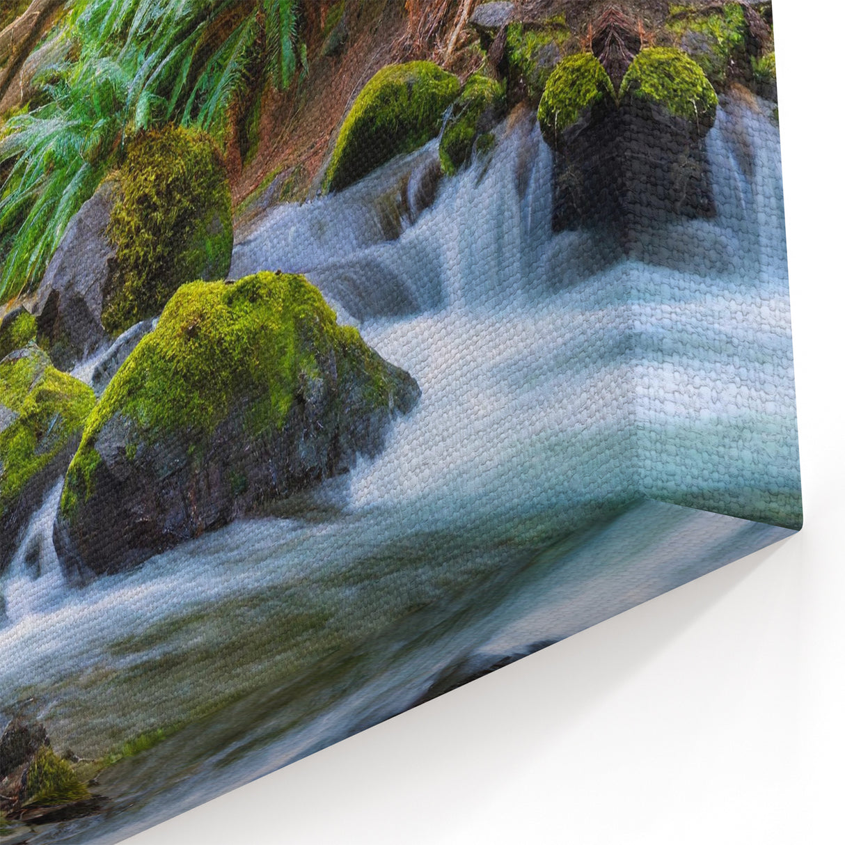 Olympic National Park Framed Art-Forest Stream and Wooden Bridge