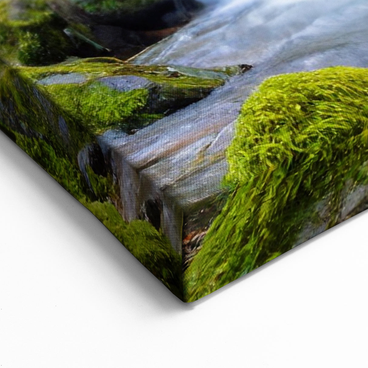 Olympic National Park Framed Art-Forest Stream and Wooden Bridge