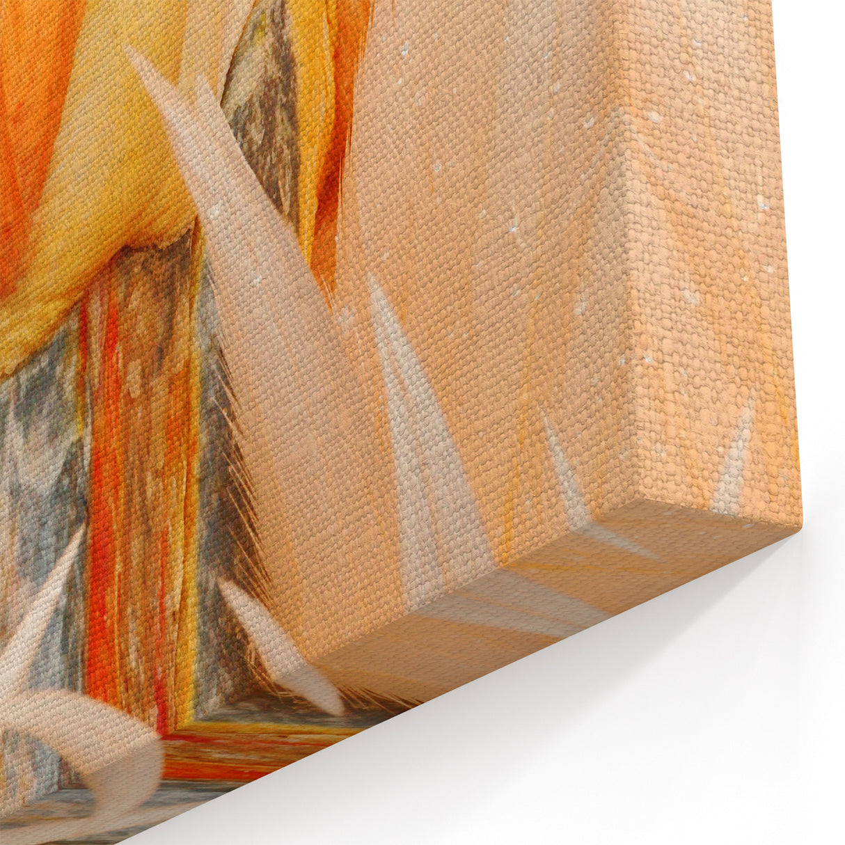 Scenic Florida Art - Stunning Wildlife Florida Landscape Nature Print