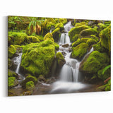 Nature Art Prints of Olympic Park  - Lush Forest Waterfall Canvas Print