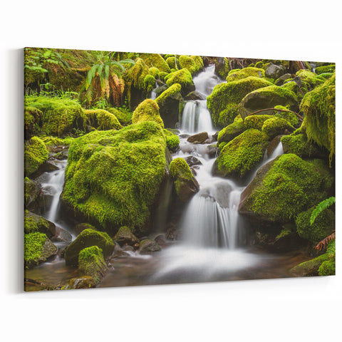 Nature Art Prints of Olympic Park  - Lush Forest Waterfall Canvas Print