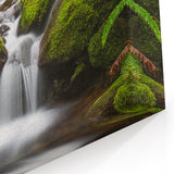 Nature Art Prints of Olympic Park  - Lush Forest Waterfall Canvas Print