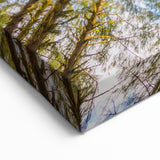 Stunning Olympic National Park Wall Art - Majestic Forest Canopy Canvas