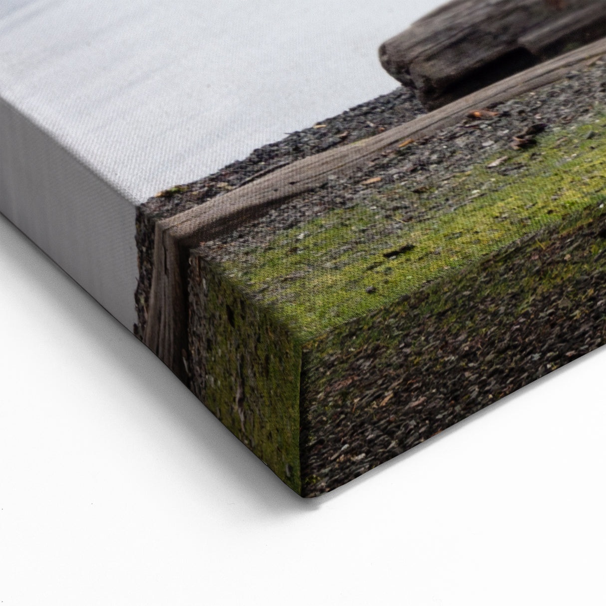 Serene Olympic National Park Wall Art - Scenic Lake and Mountain View