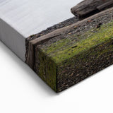 Serene Olympic National Park Wall Art - Scenic Lake and Mountain View