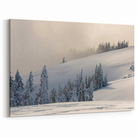 Olympic National Park Wall Art - Serene Winter Wonderland Snow Scene