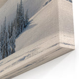 Olympic National Park Wall Art - Serene Winter Wonderland Snow Scene