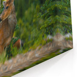 Olympic National Park Framed Art - Majestic Deer in Forest Scene