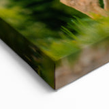 Olympic National Park Framed Art - Majestic Deer in Forest Scene