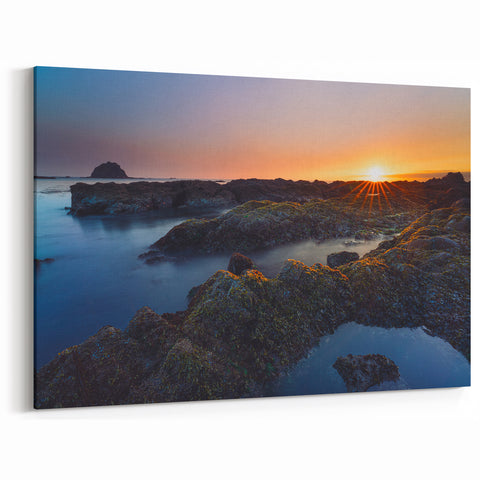 Scenic Olympic National Park Art - Vibrant Sunset Over Rocky Coast