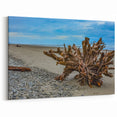 Washington National Park Art - Driftwood on Rugged Olympic Coastline