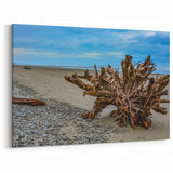 Washington National Park Art - Driftwood on Rugged Olympic Coastline