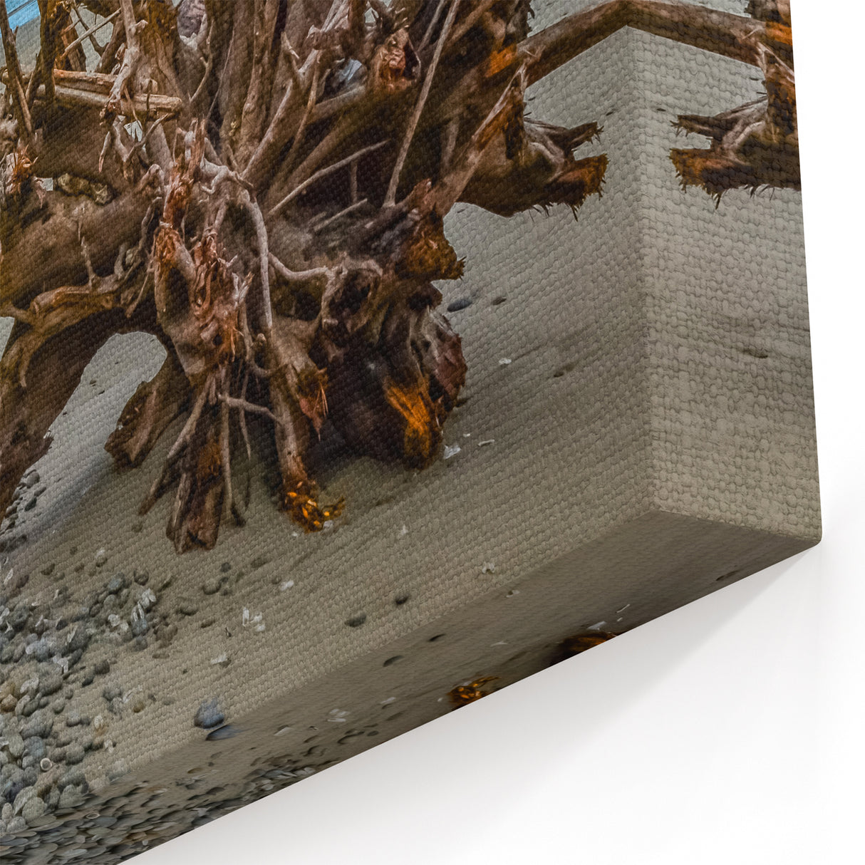 Washington National Park Art - Driftwood on Rugged Olympic Coastline