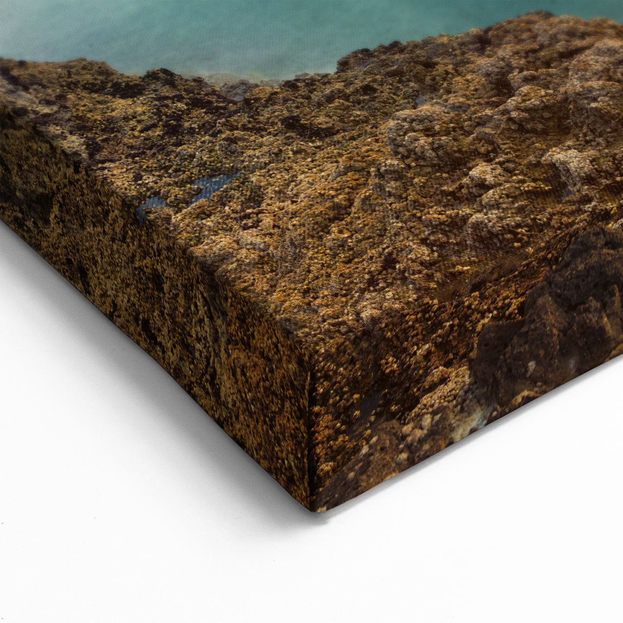 Coastal New Zealand Art - West Coast Sunset Seascape Canvas Print