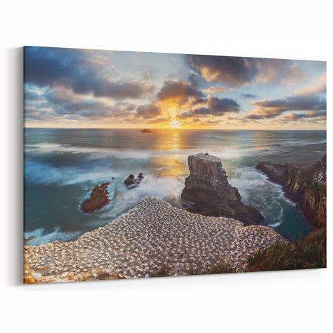 Scenic West Coast Art - Bird Colony and Ocean Sunset Canvas Print