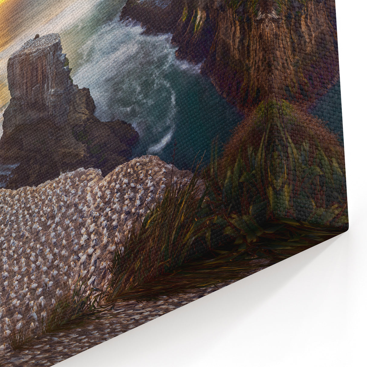 Scenic West Coast Art - Bird Colony and Ocean Sunset Canvas Print