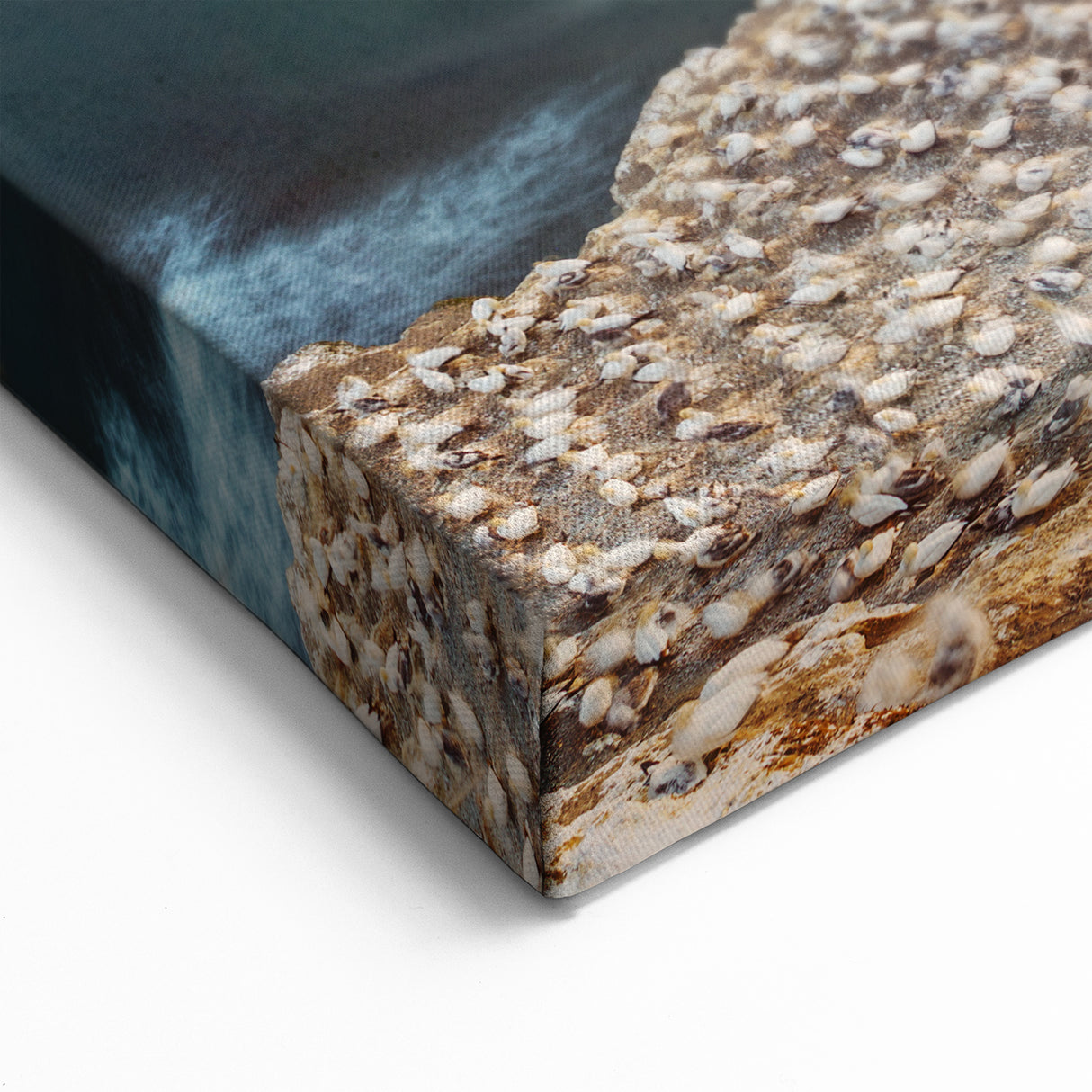 Scenic West Coast Art - Bird Colony and Ocean Sunset Canvas Print