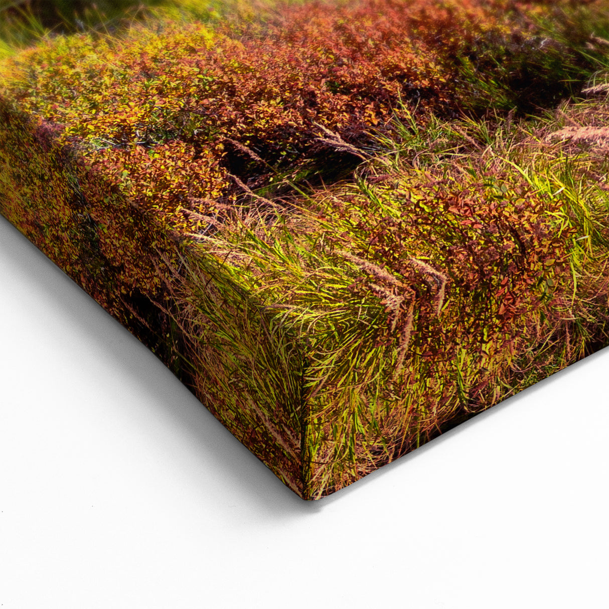 Washington Nature Art - Scenic Mount Rainier Landscape Print