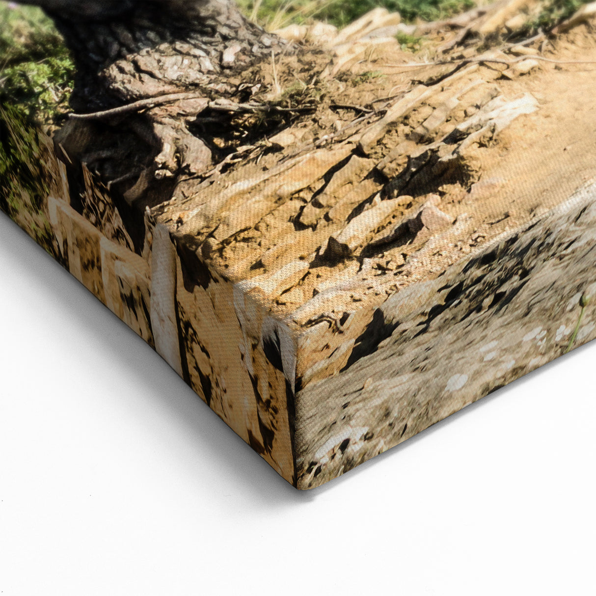 French Country Wall Art - Serene Coastal Tree and Ocean Landscape Print