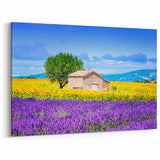 Lavender Field Artwork - Rustic French Cottage with Sunflowers and Lavender
