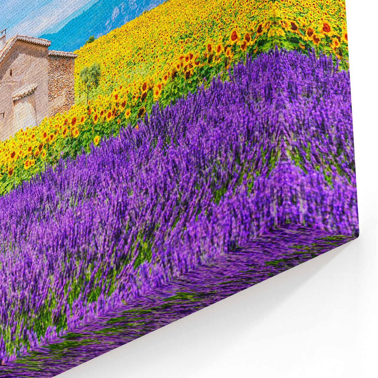 Lavender Field Artwork - Rustic French Cottage with Sunflowers and Lavender