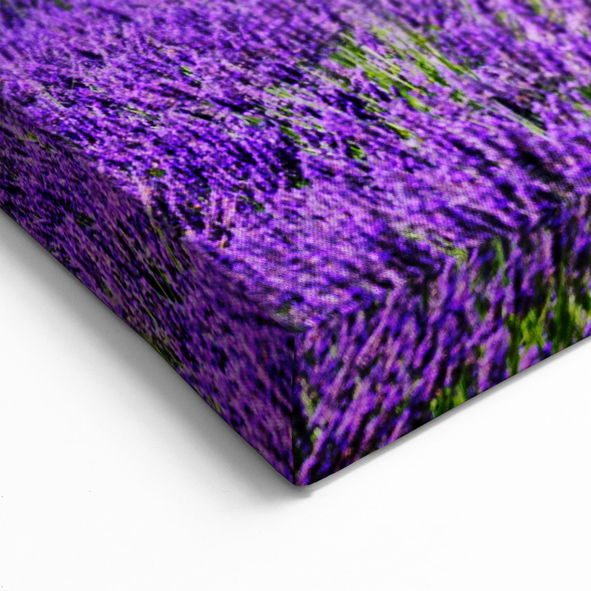 Lavender Field Artwork - Rustic French Cottage with Sunflowers and Lavender