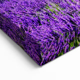Lavender Field Artwork - Rustic French Cottage with Sunflowers and Lavender