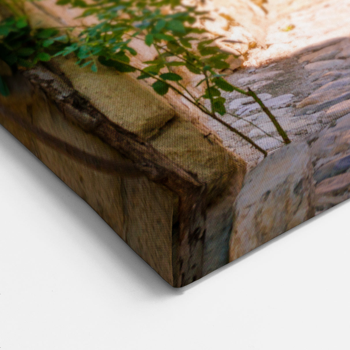 French Scenery Canvas - Charming Stone Village Street in Provence