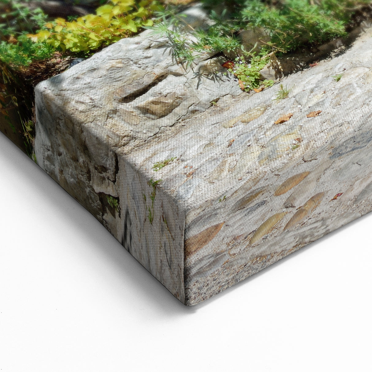 Provence Home Decor - Rustic French Shuttered Windows and Garden Scene