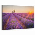 Lavender Field Artwork - Sunset Over Rows of Lavender in Provence