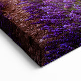 Lavender Field Artwork - Sunset Over Rows of Lavender in Provence